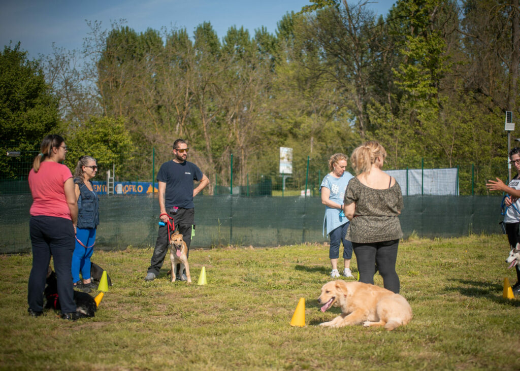 Puppy Class e Socializzazione