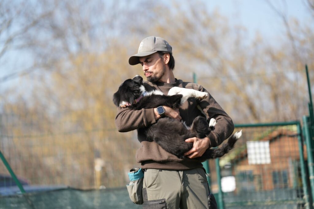 Educazione del Cucciolo