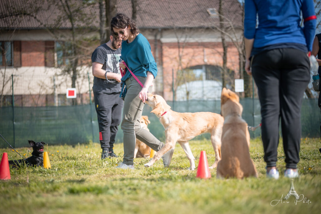 Addestramento del cane